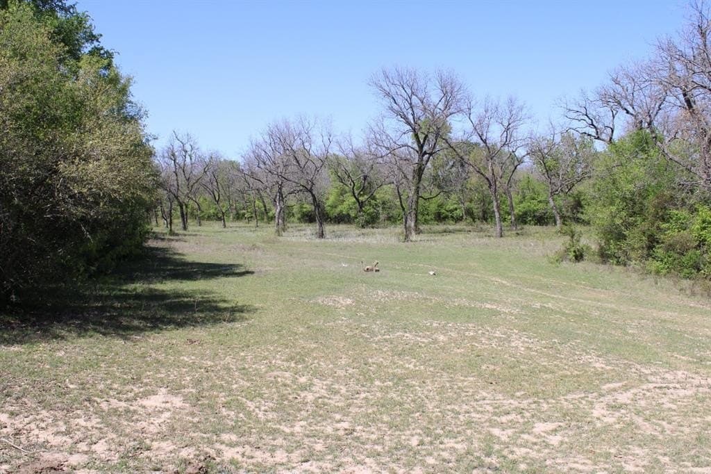 49.32 acres in Comanche County featured view