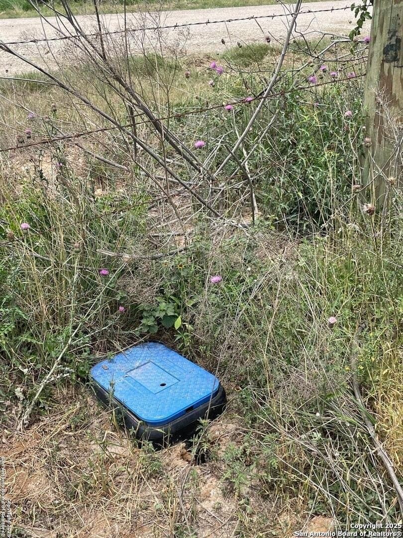 10.01 acres in Atascosa County gallery image 4