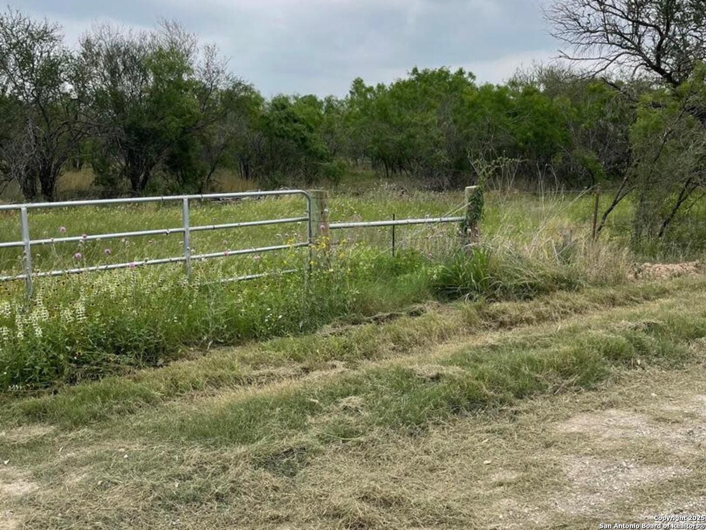 10.01 acres in Atascosa County
