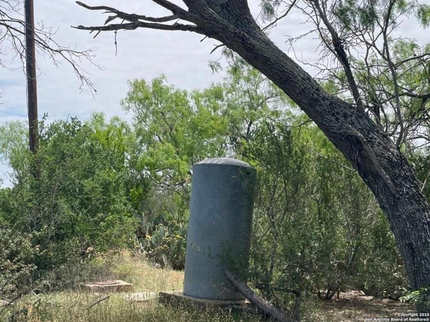 10.01 acres in Atascosa County featured view