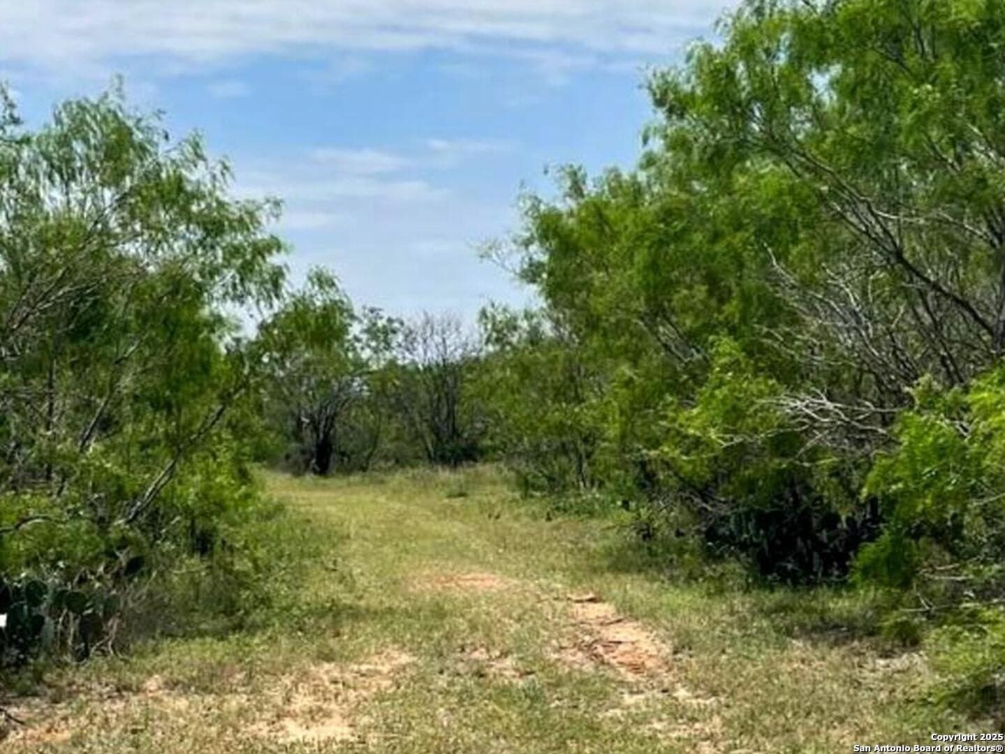 10.01 acres in Atascosa County gallery image 2