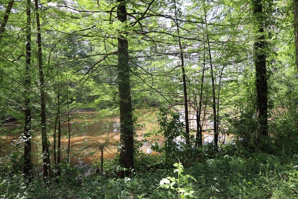 25.75 acres in Texas County - photo 21