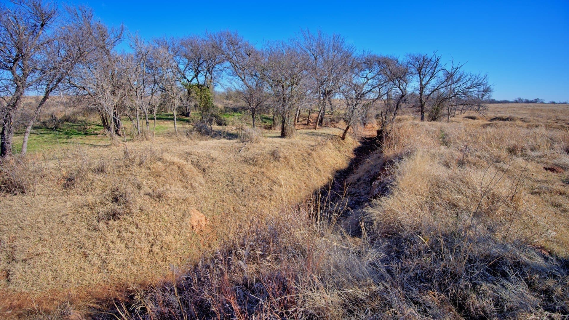 2,226 acres in Clay County - photo 19