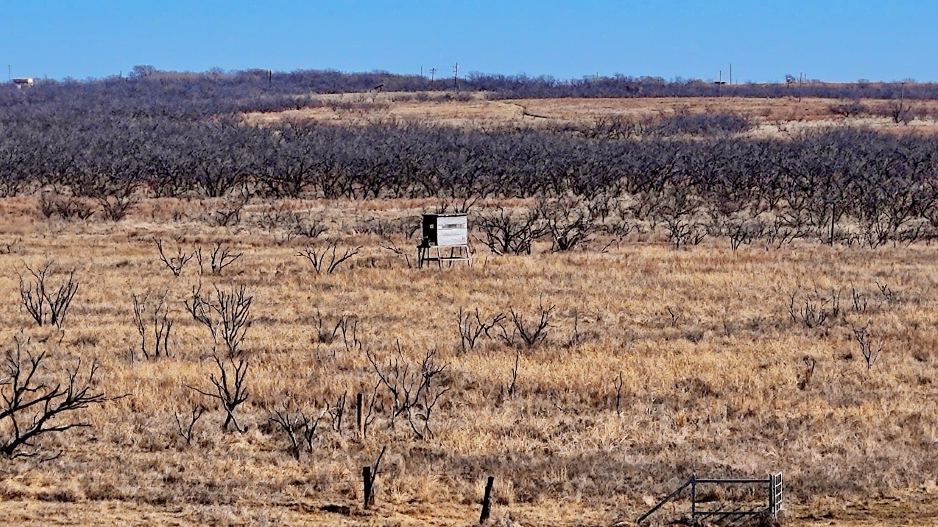 2,226 acres in Clay County - photo 15