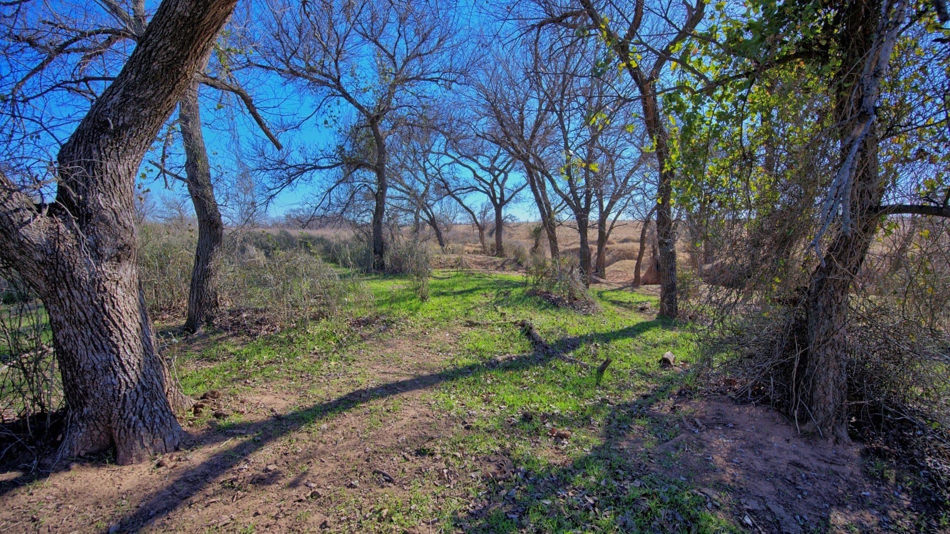 2,226 acres in Clay County - photo 16