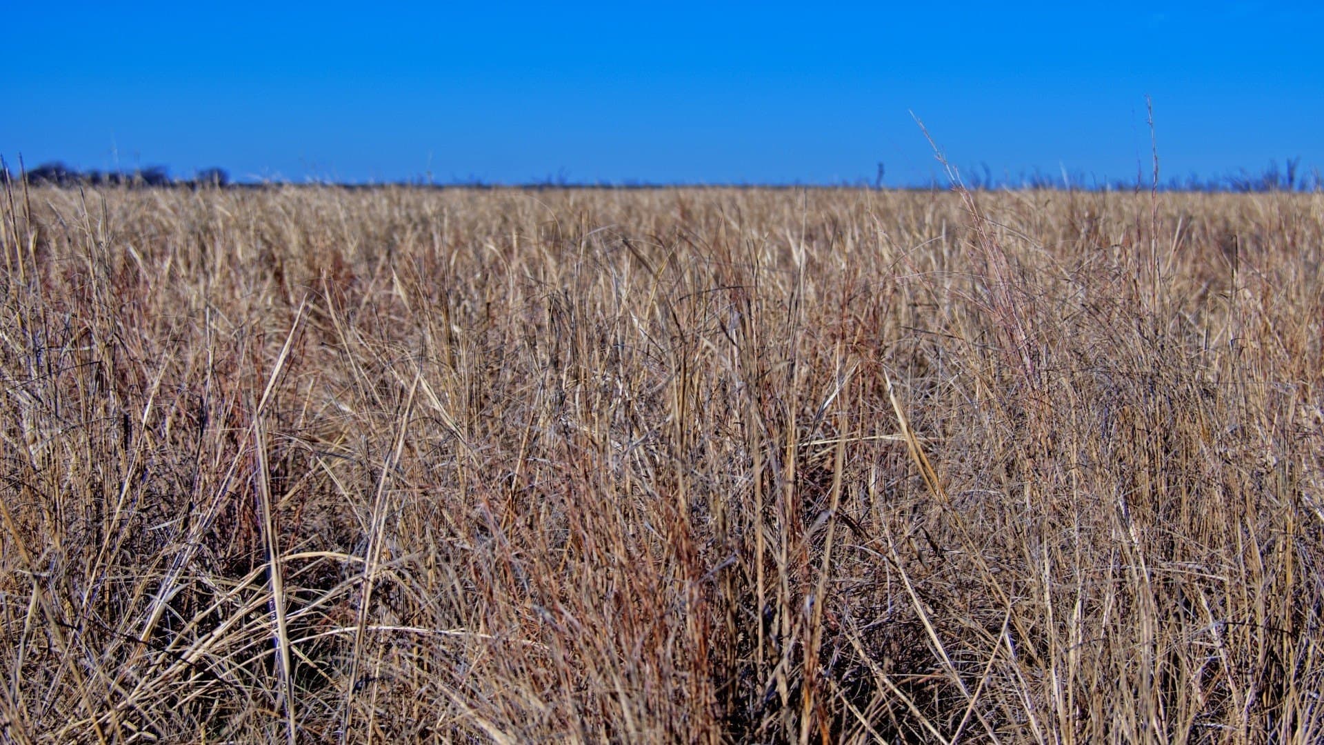2,226 acres in Clay County - photo 17