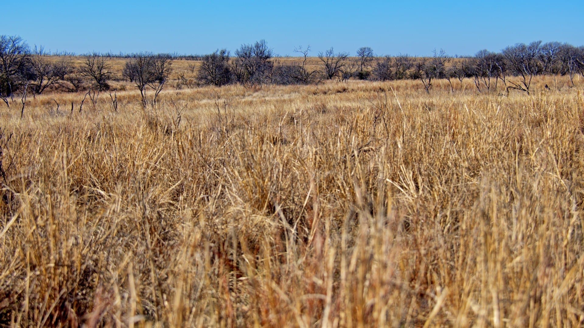 2,226 acres in Clay County - photo 18