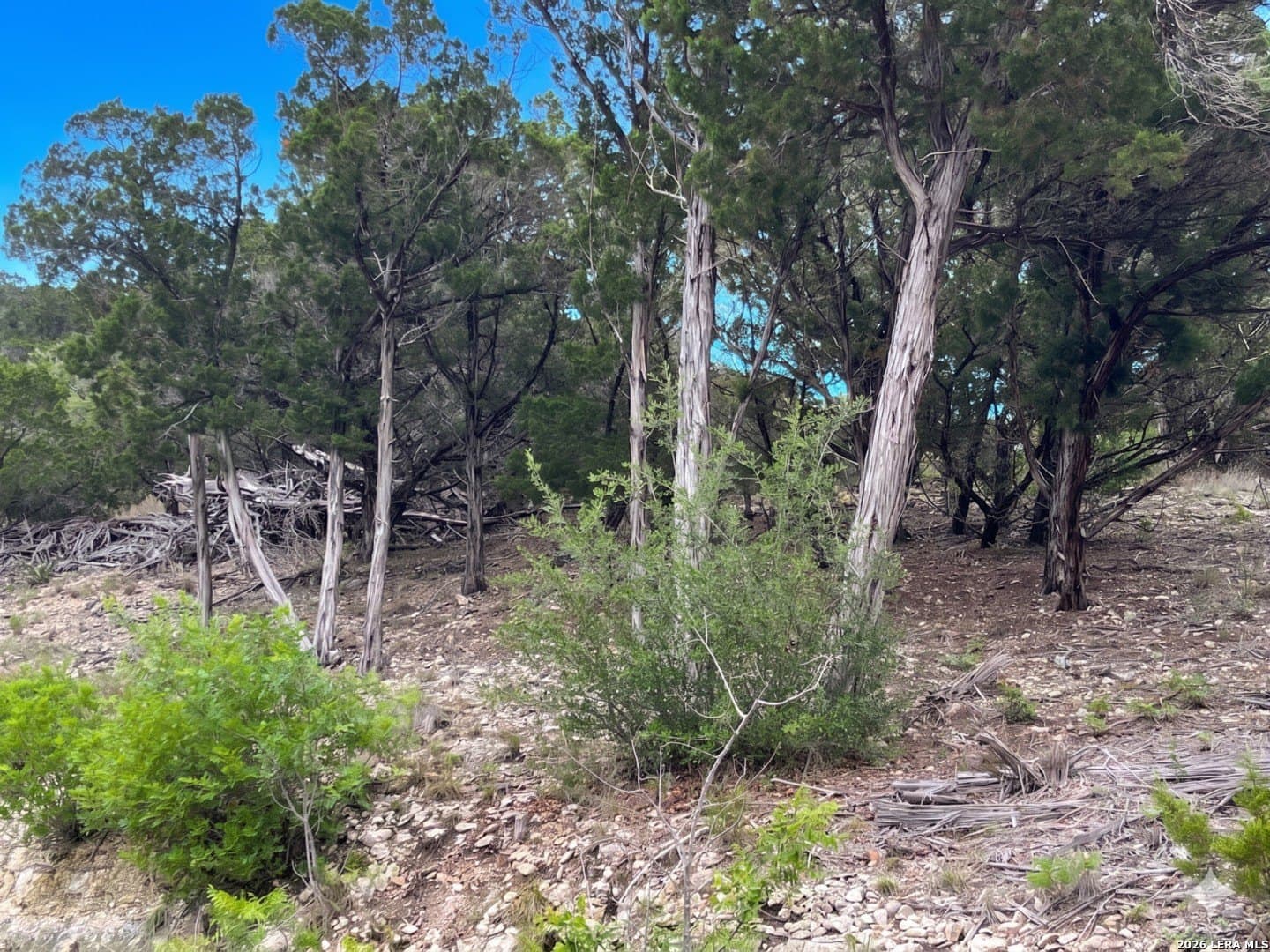 3.54 acres in Medina County gallery image 2