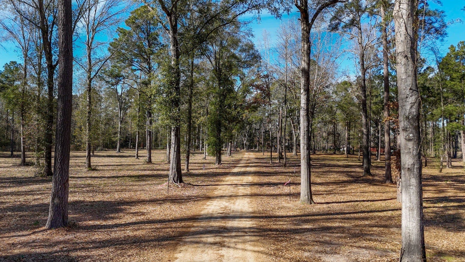 0.7 acres in Shelby County - photo 25