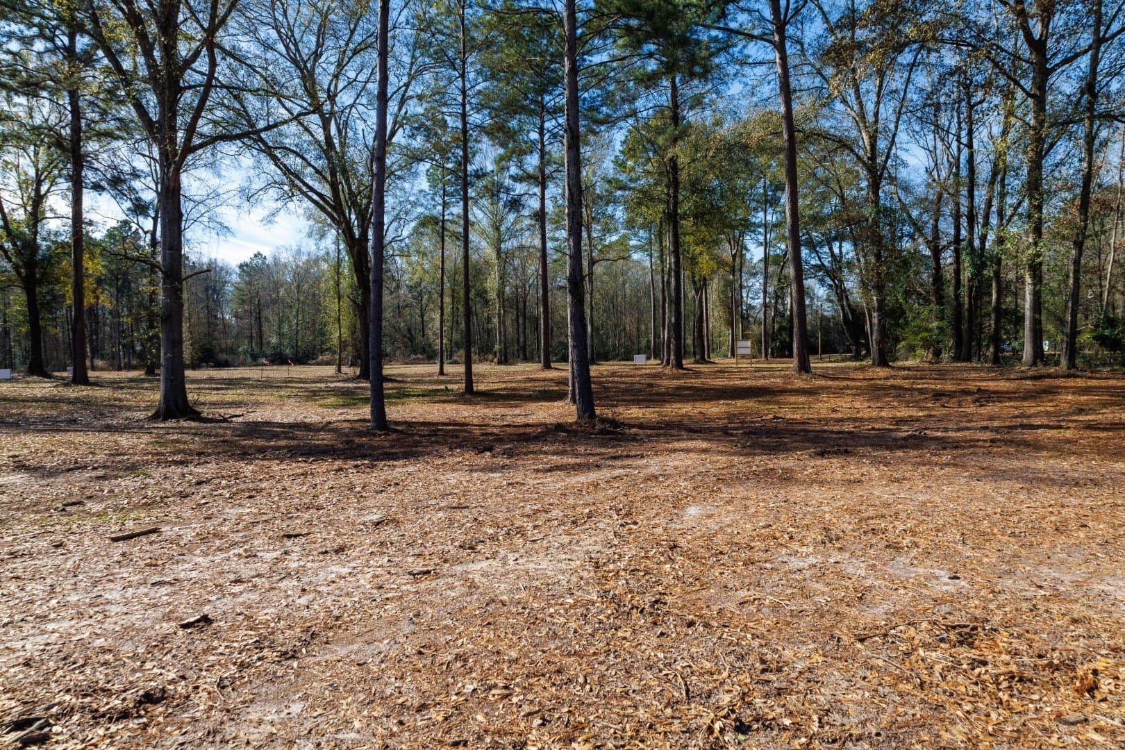 0.7 acres in Shelby County - photo 2