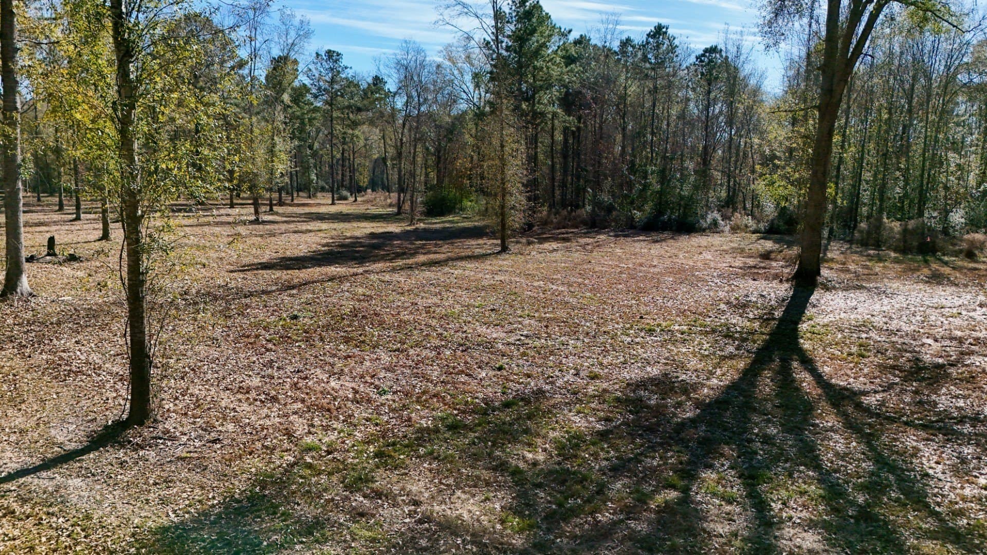 0.7 acres in Shelby County - photo 24