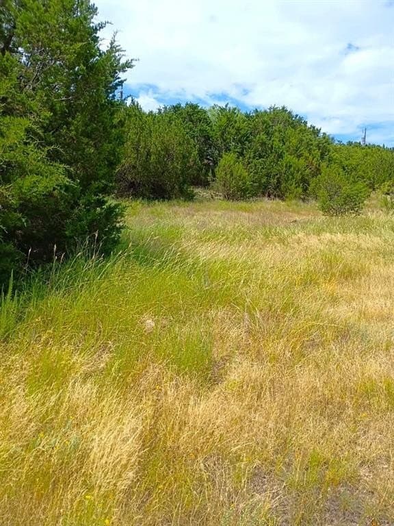 0.54 acres in Hood County gallery image 3