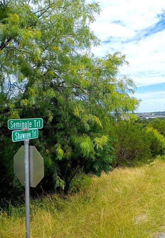 0.54 acres in Hood County gallery image 2