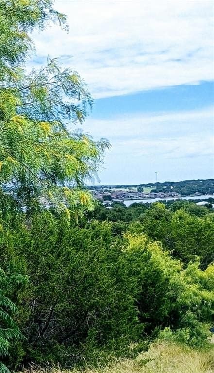 0.54 acres in Hood County