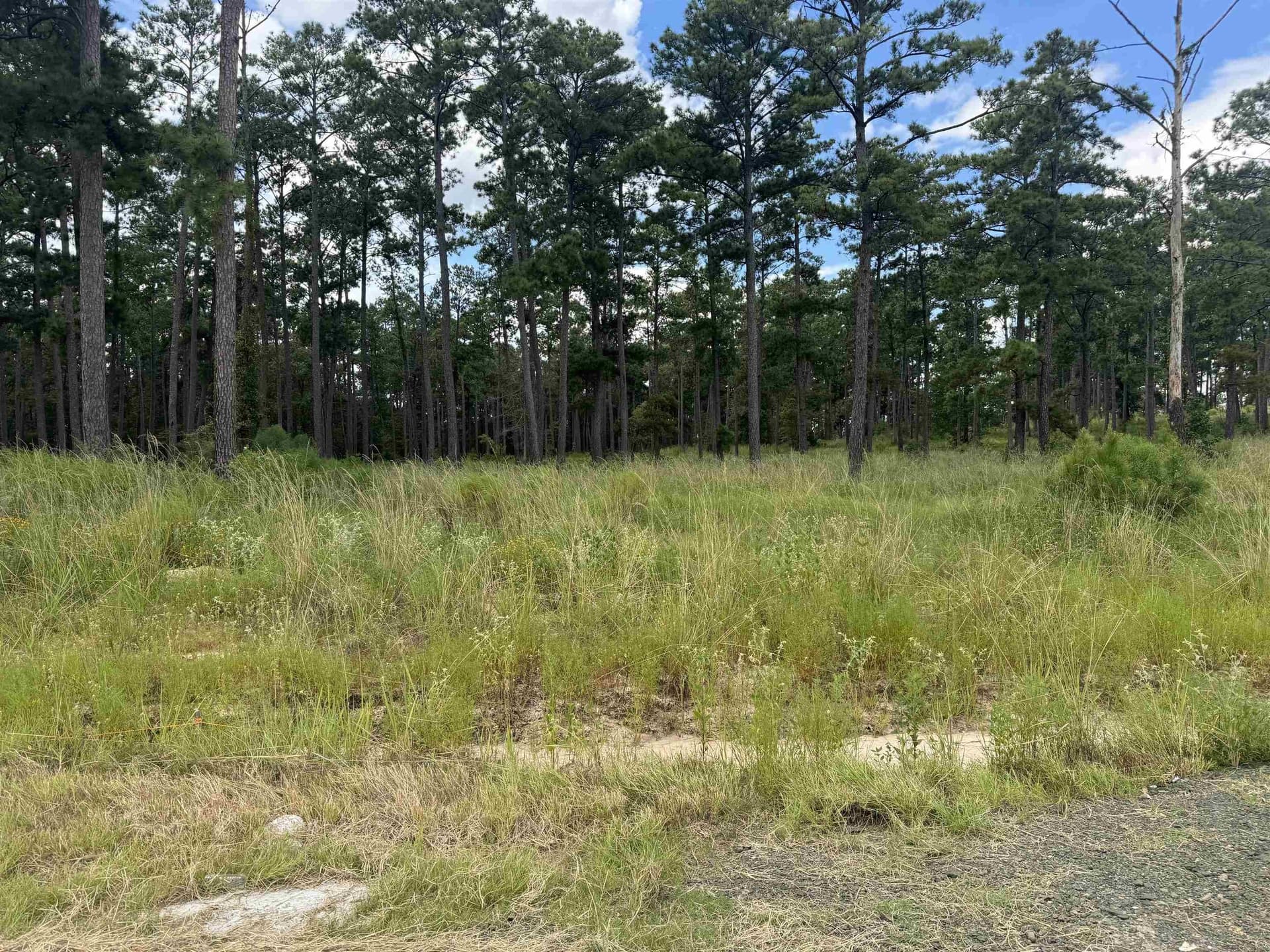 1.52 acres in Texas County gallery image 4