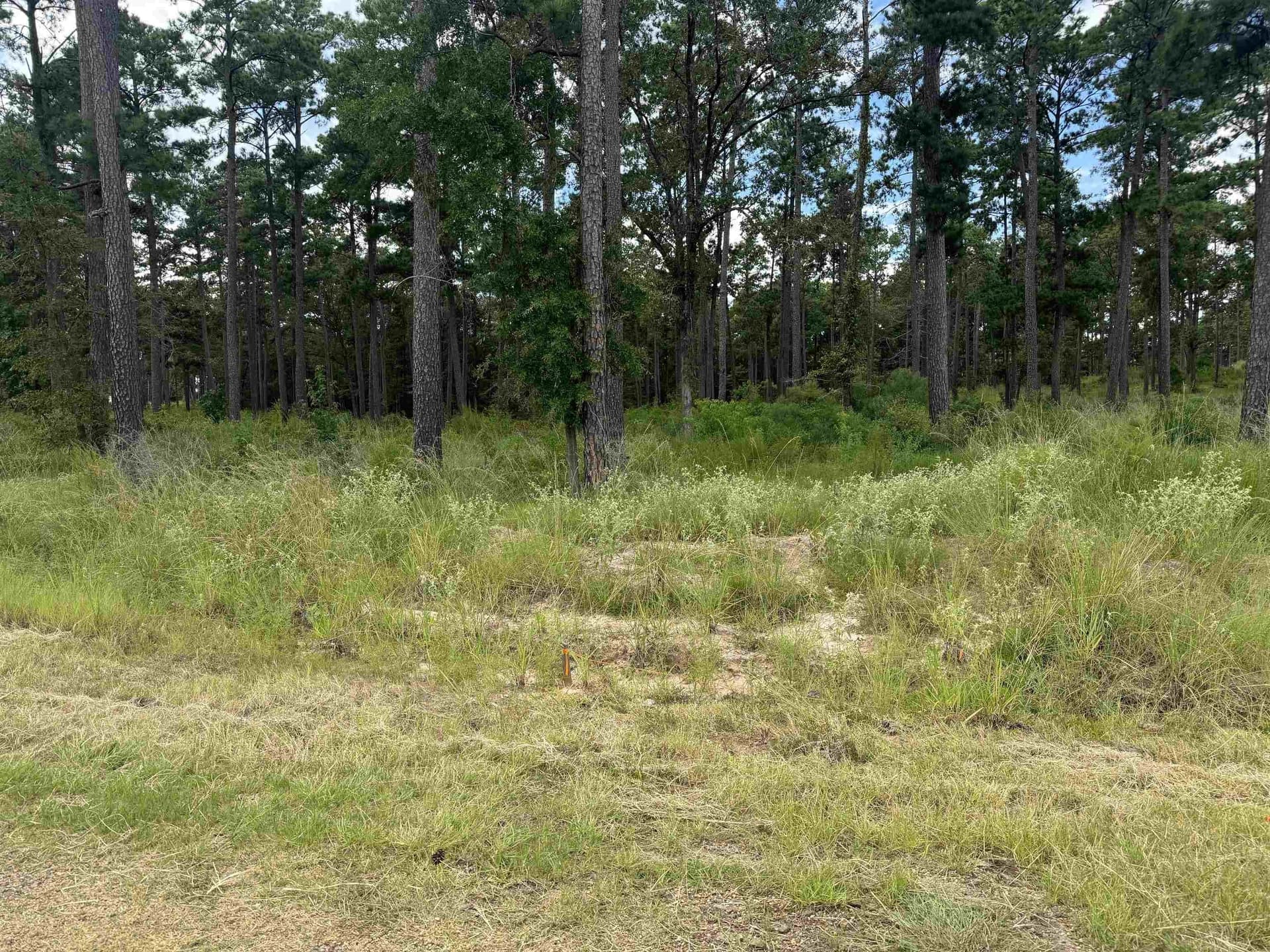 1.52 acres in Texas County