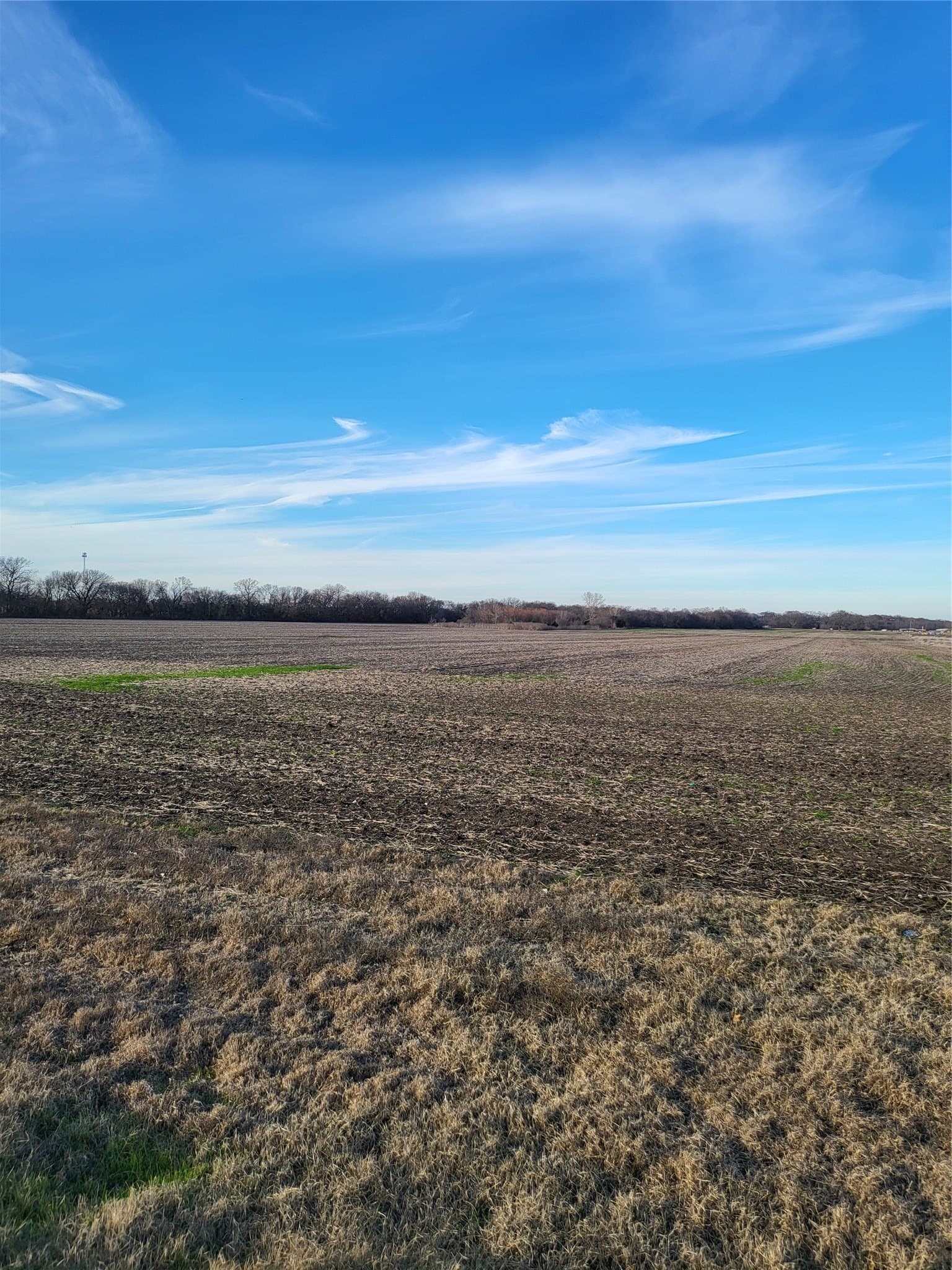 47.07 acres in Grayson County - photo 6