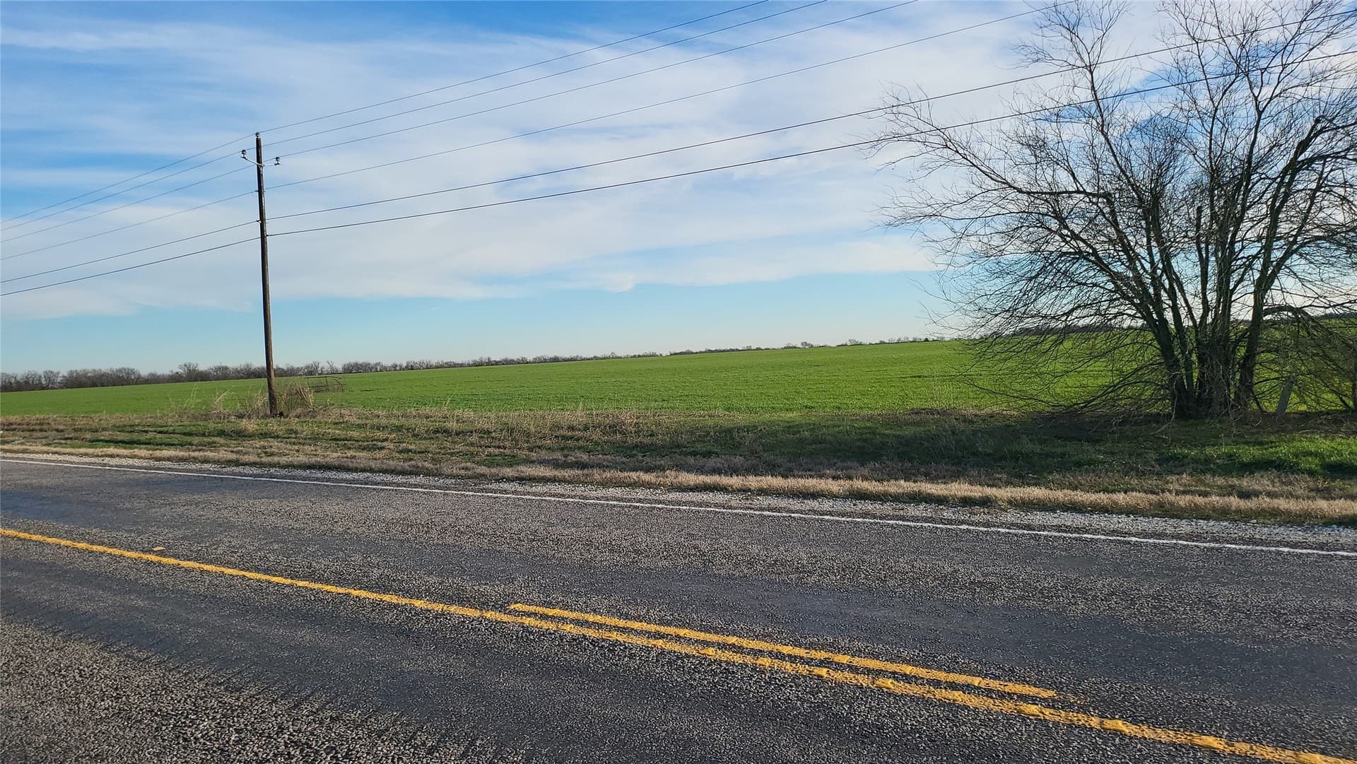 47.07 acres in Grayson County - photo 8