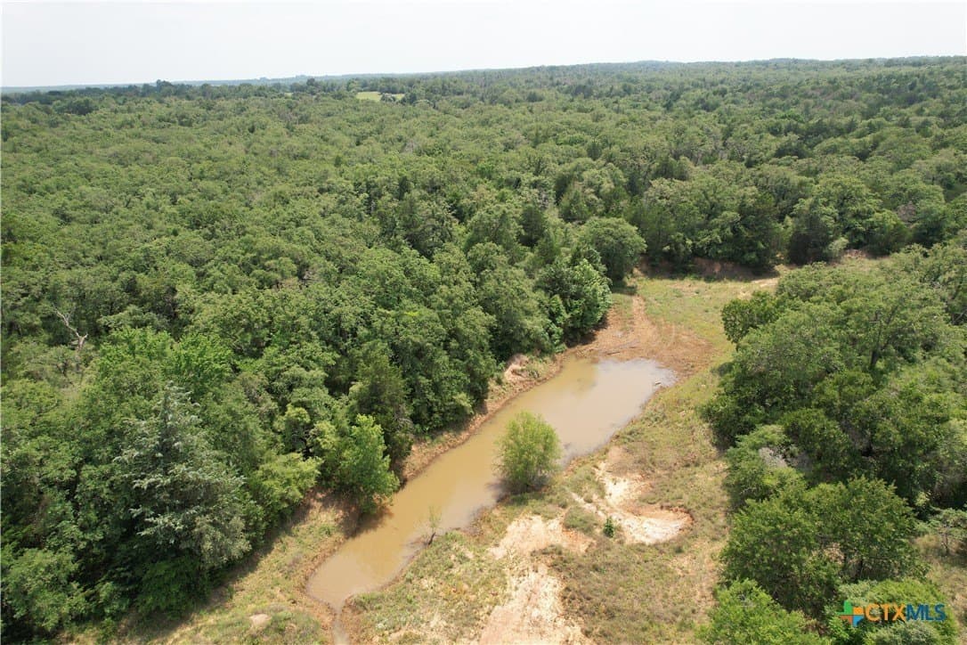 24.5 acres in Milam County - photo 6