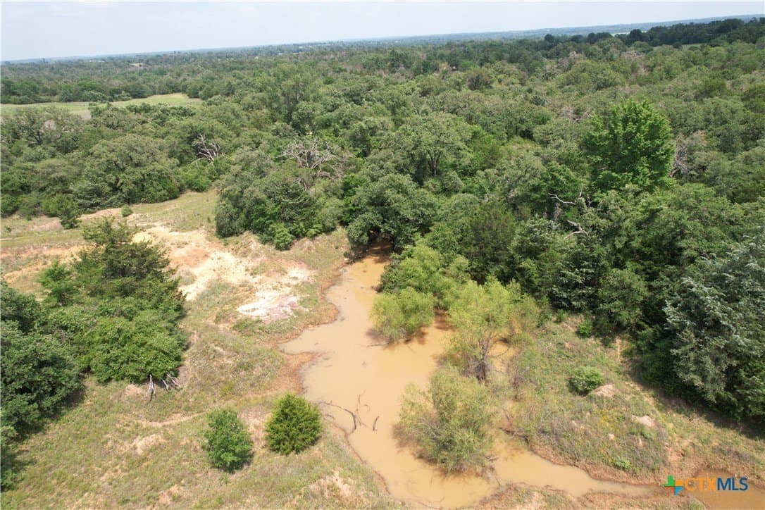 24.5 acres in Milam County - photo 8