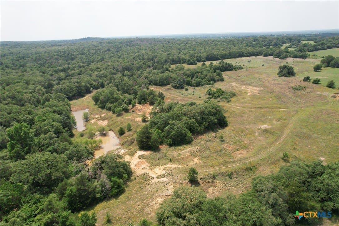 24.5 acres in Milam County - photo 9