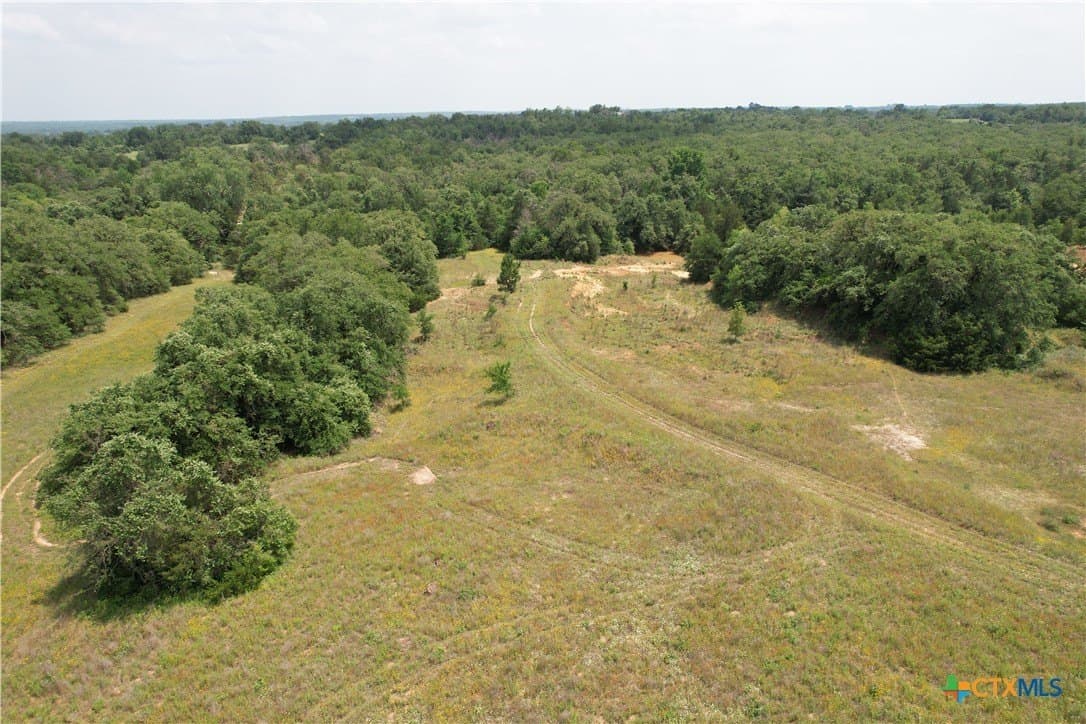 24.5 acres in Milam County gallery image 3