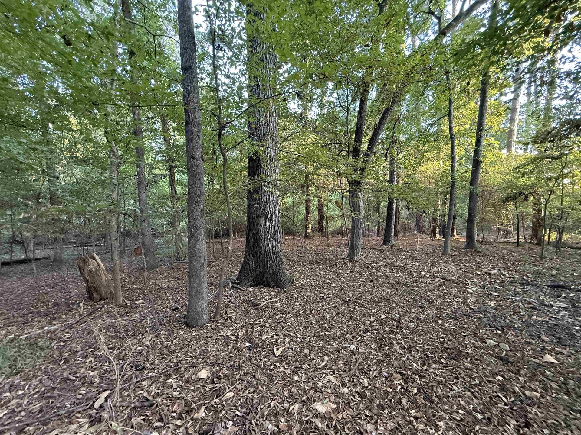 0.15 acres in Marion County - photo 11