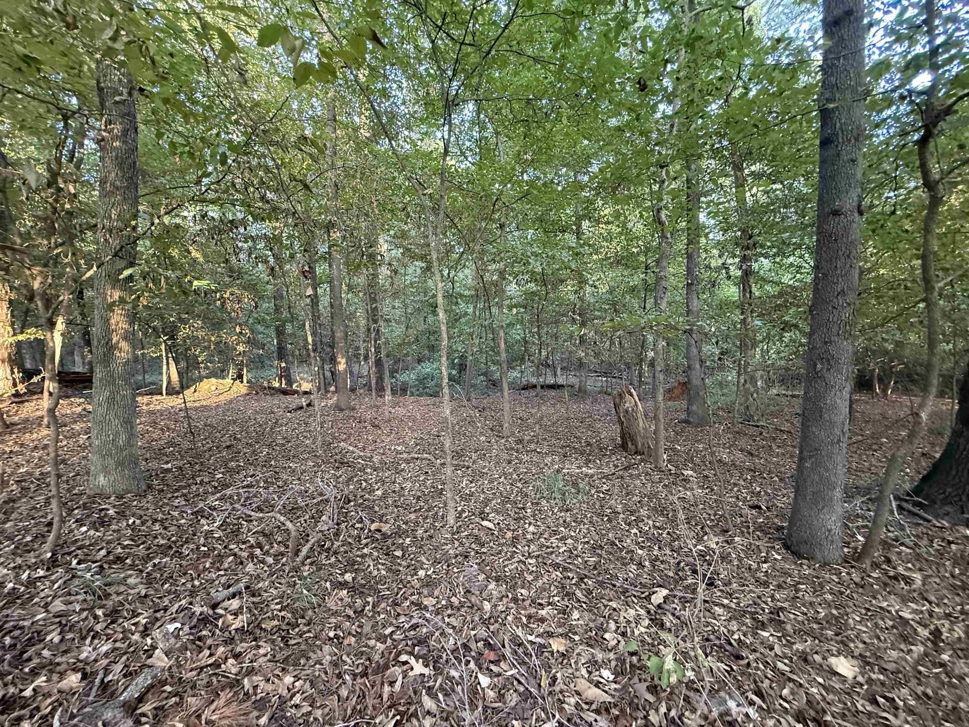 0.15 acres in Marion County - photo 13