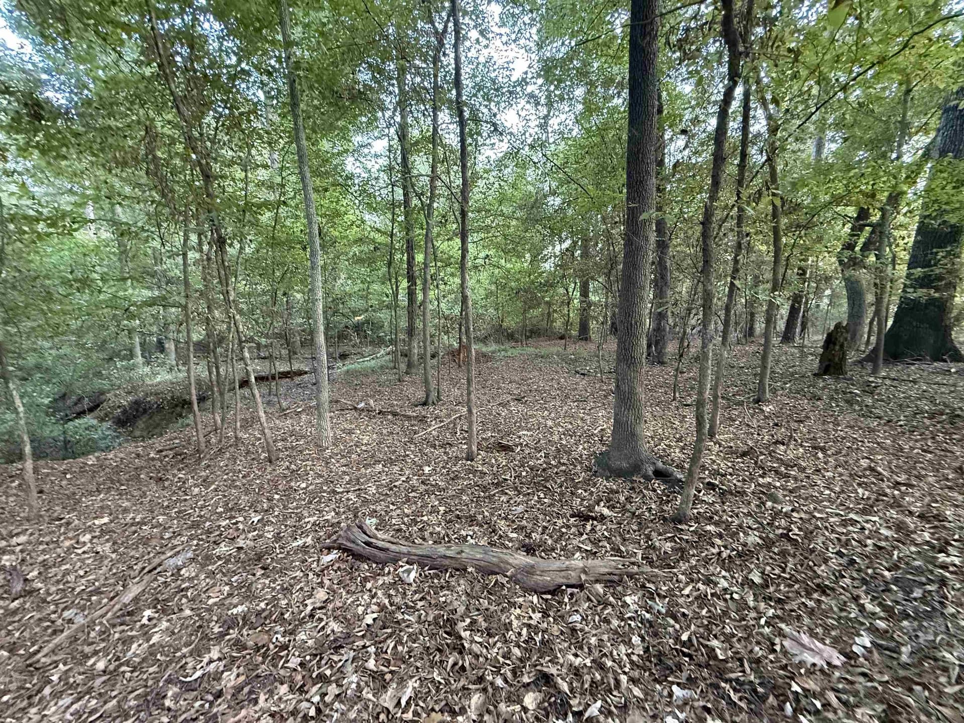 0.15 acres in Marion County - photo 4
