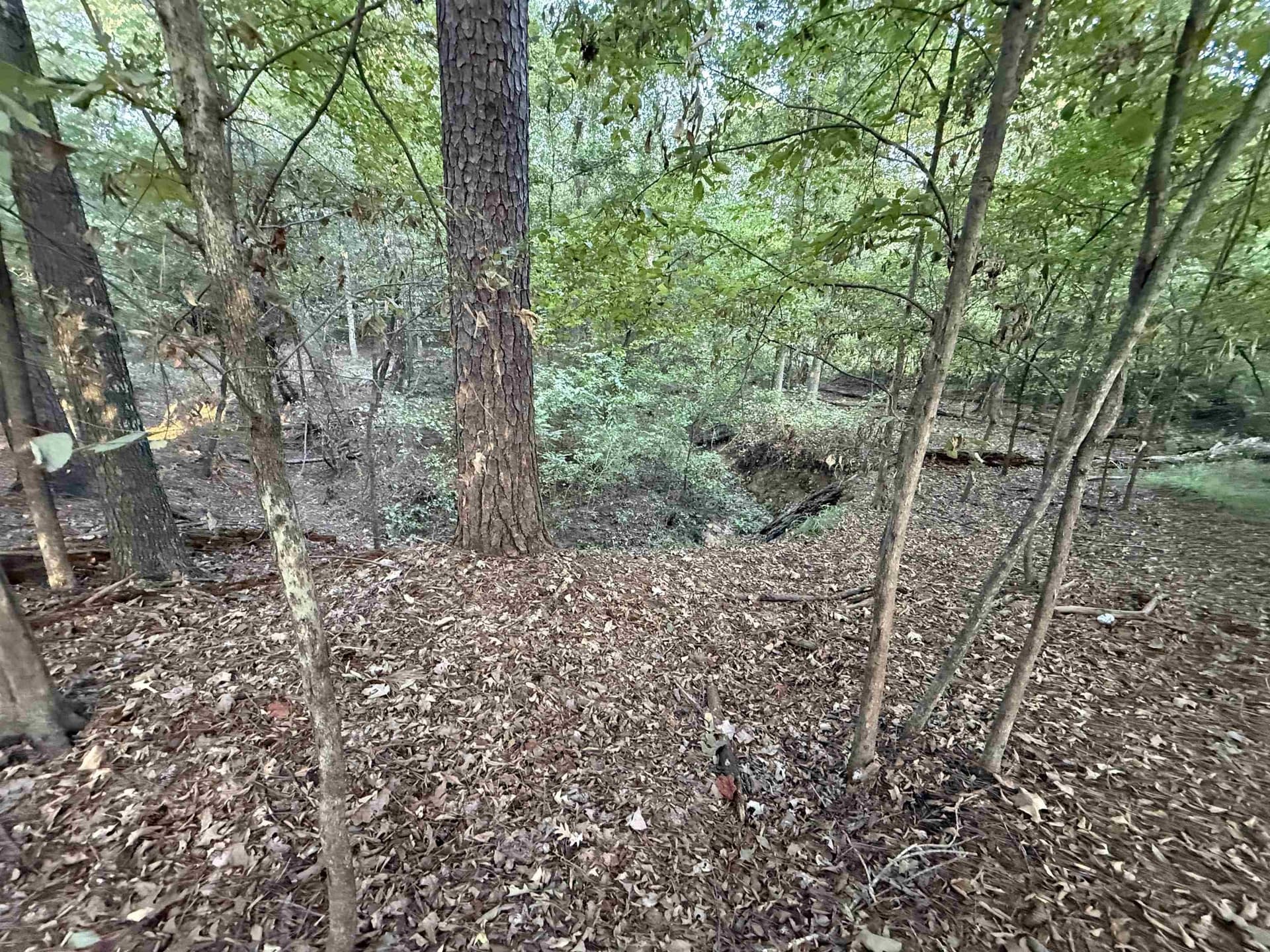 0.15 acres in Marion County - photo 10