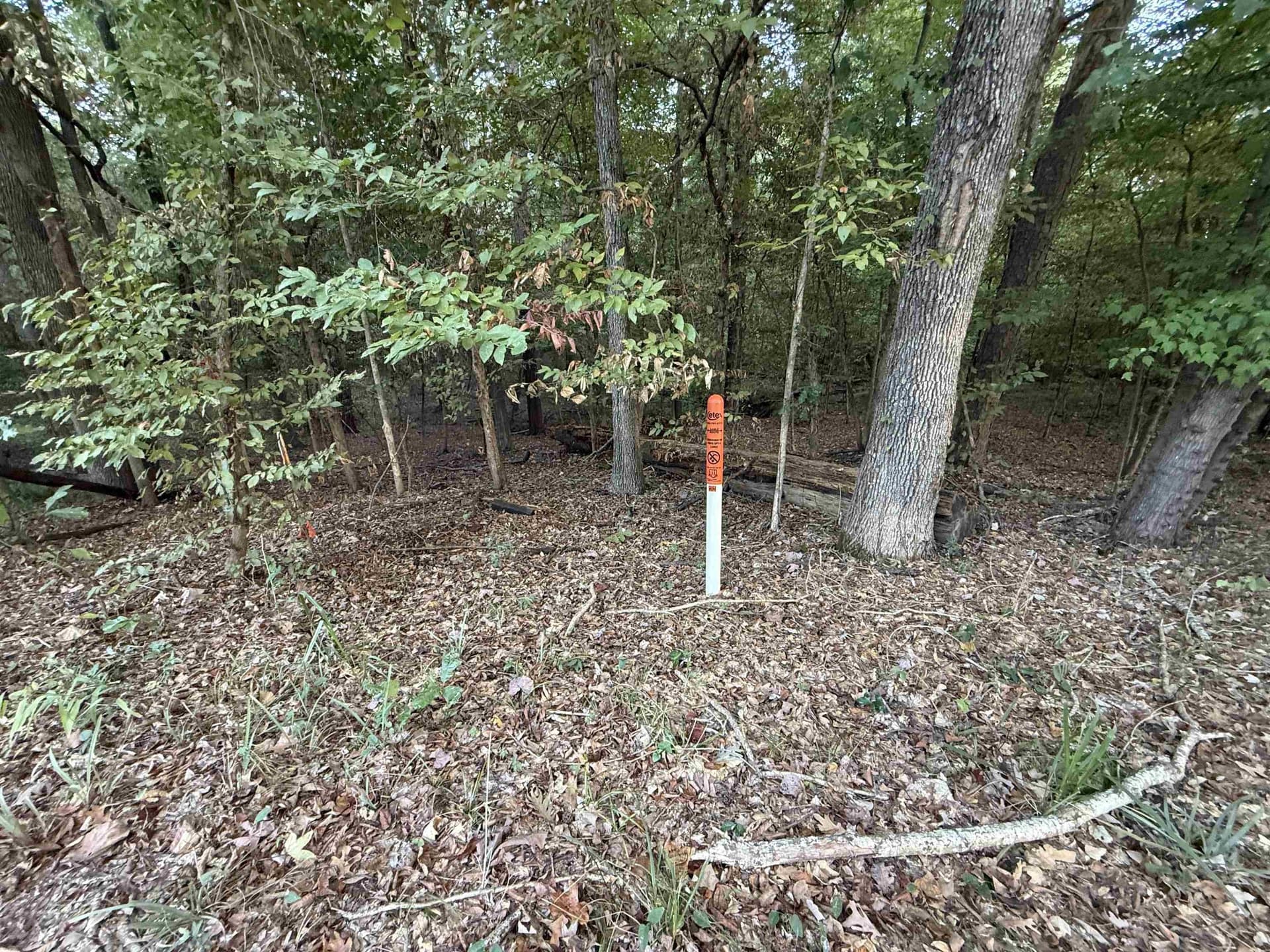 0.15 acres in Marion County - photo 15