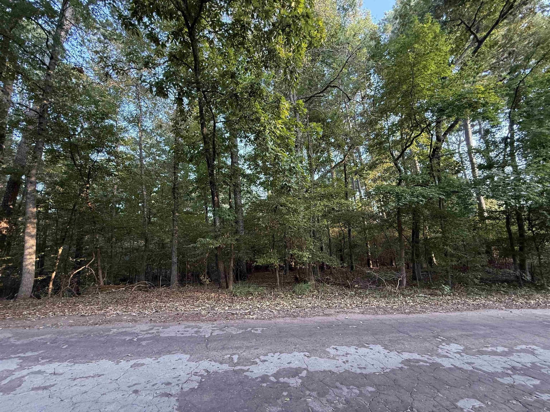 0.15 acres in Marion County - photo 3
