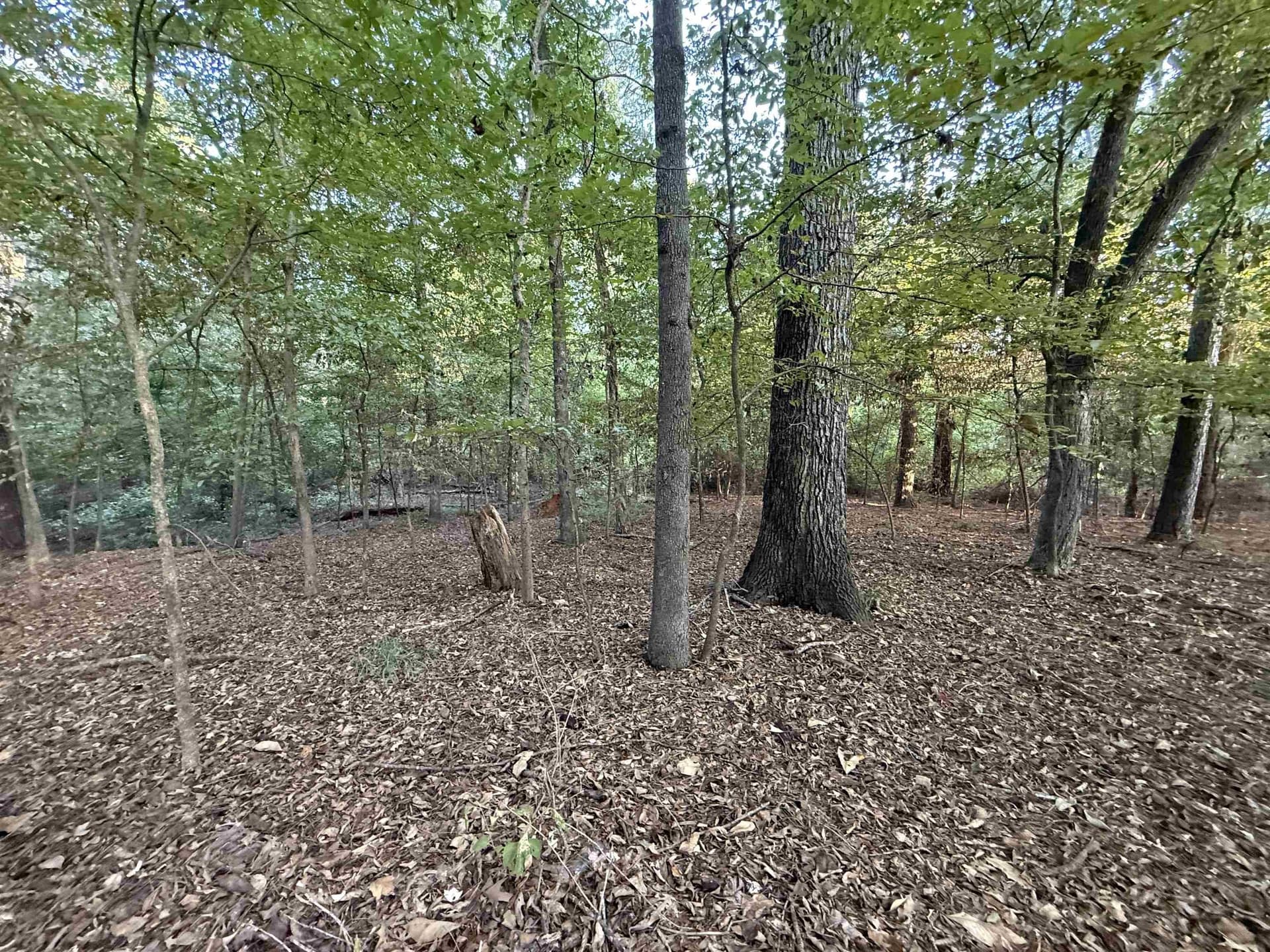 0.15 acres in Marion County - photo 12