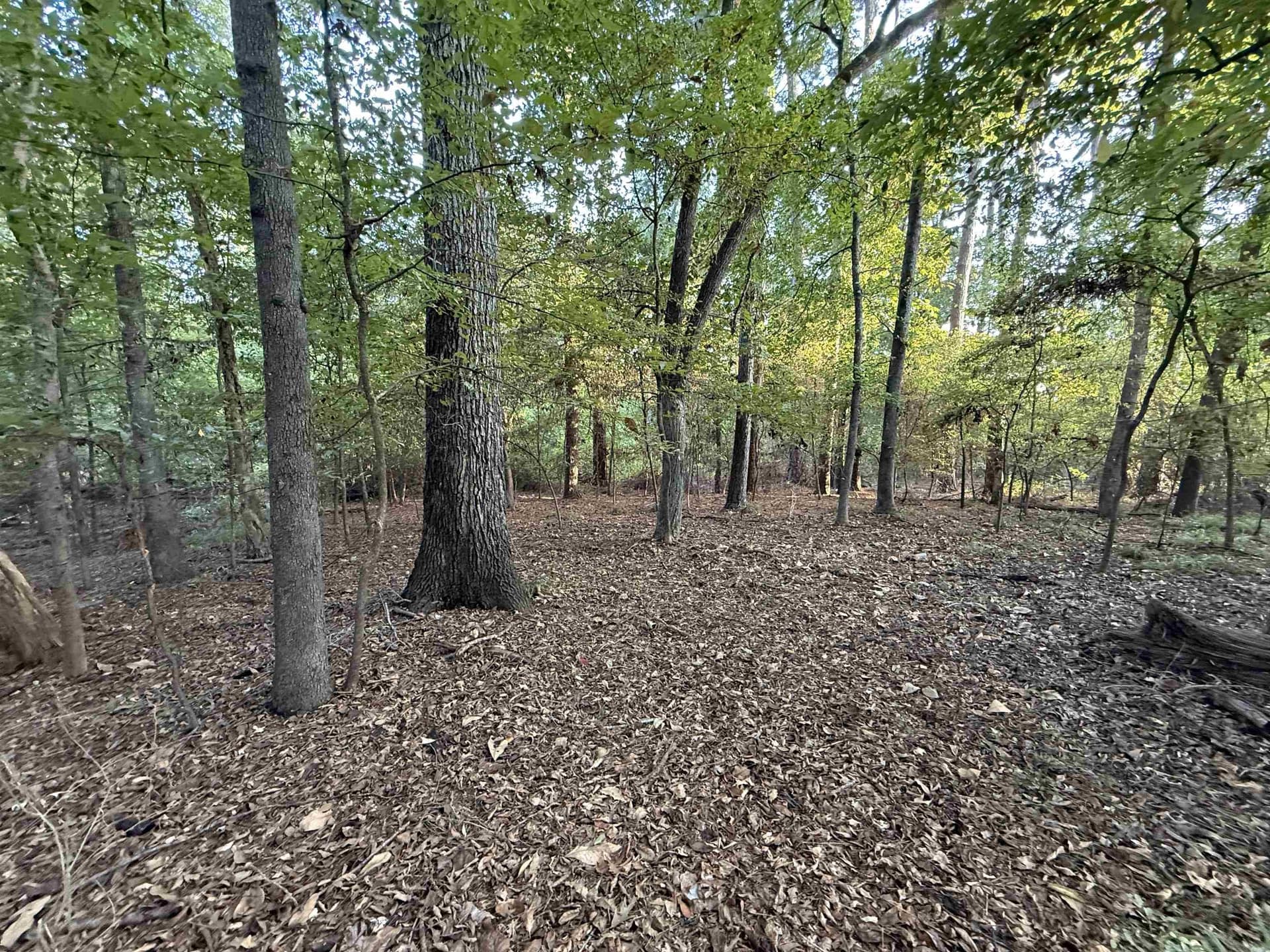 0.15 acres in Marion County - photo 9