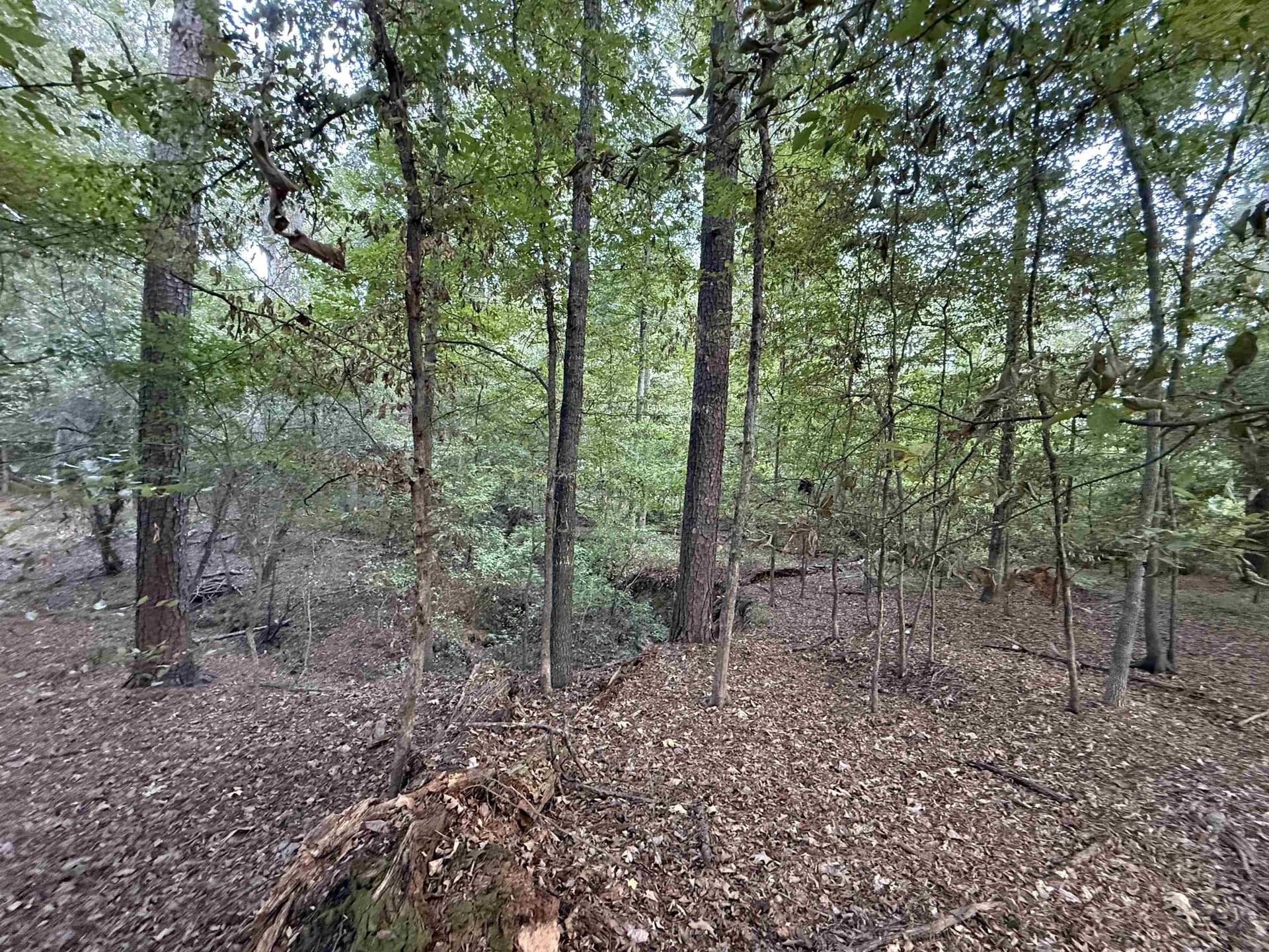 0.15 acres in Marion County - photo 14