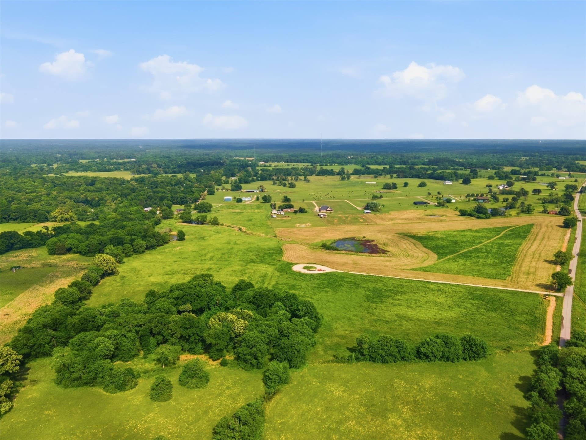5 acres in Titus County - photo 8