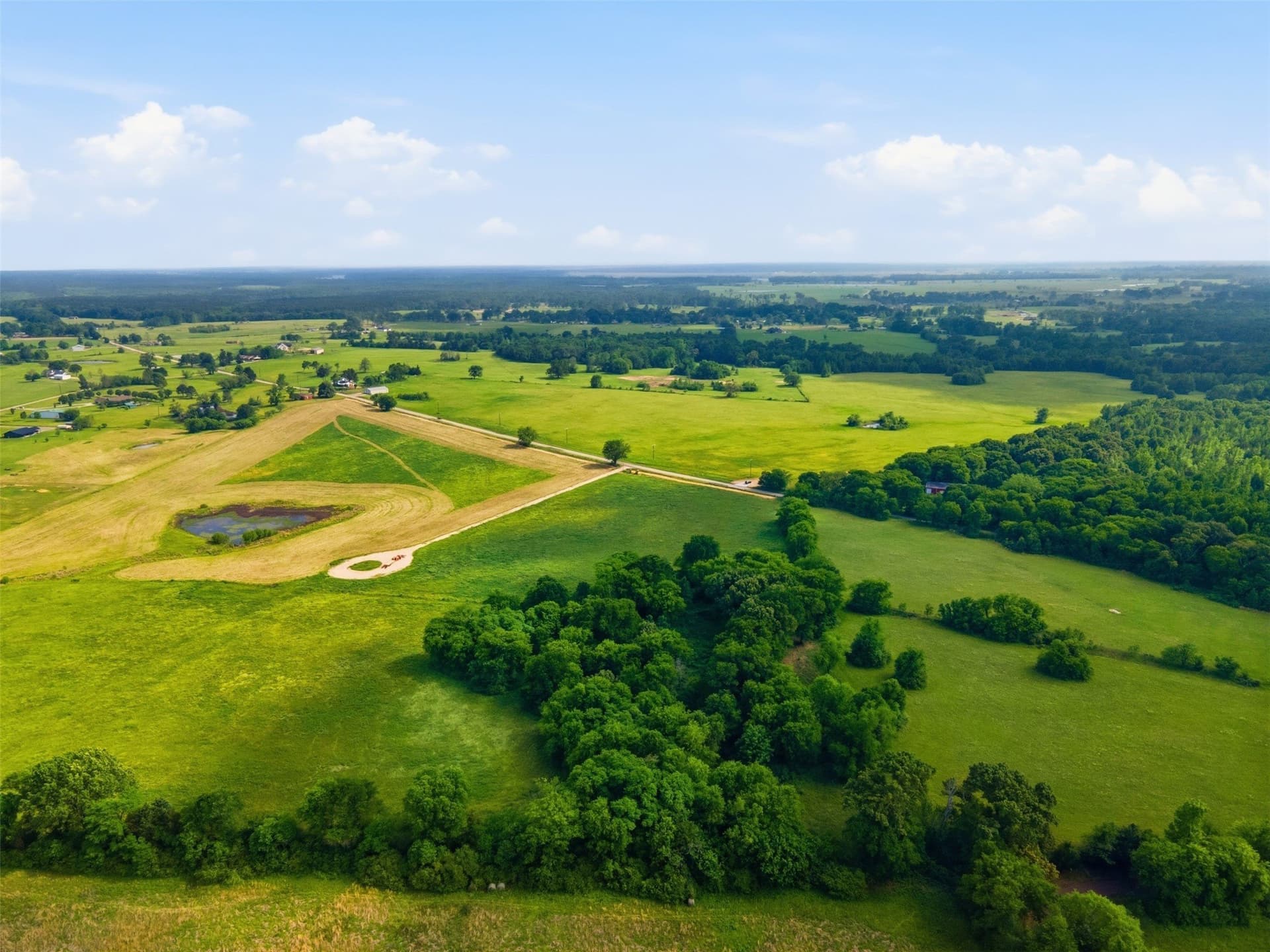 5 acres in Titus County - photo 11