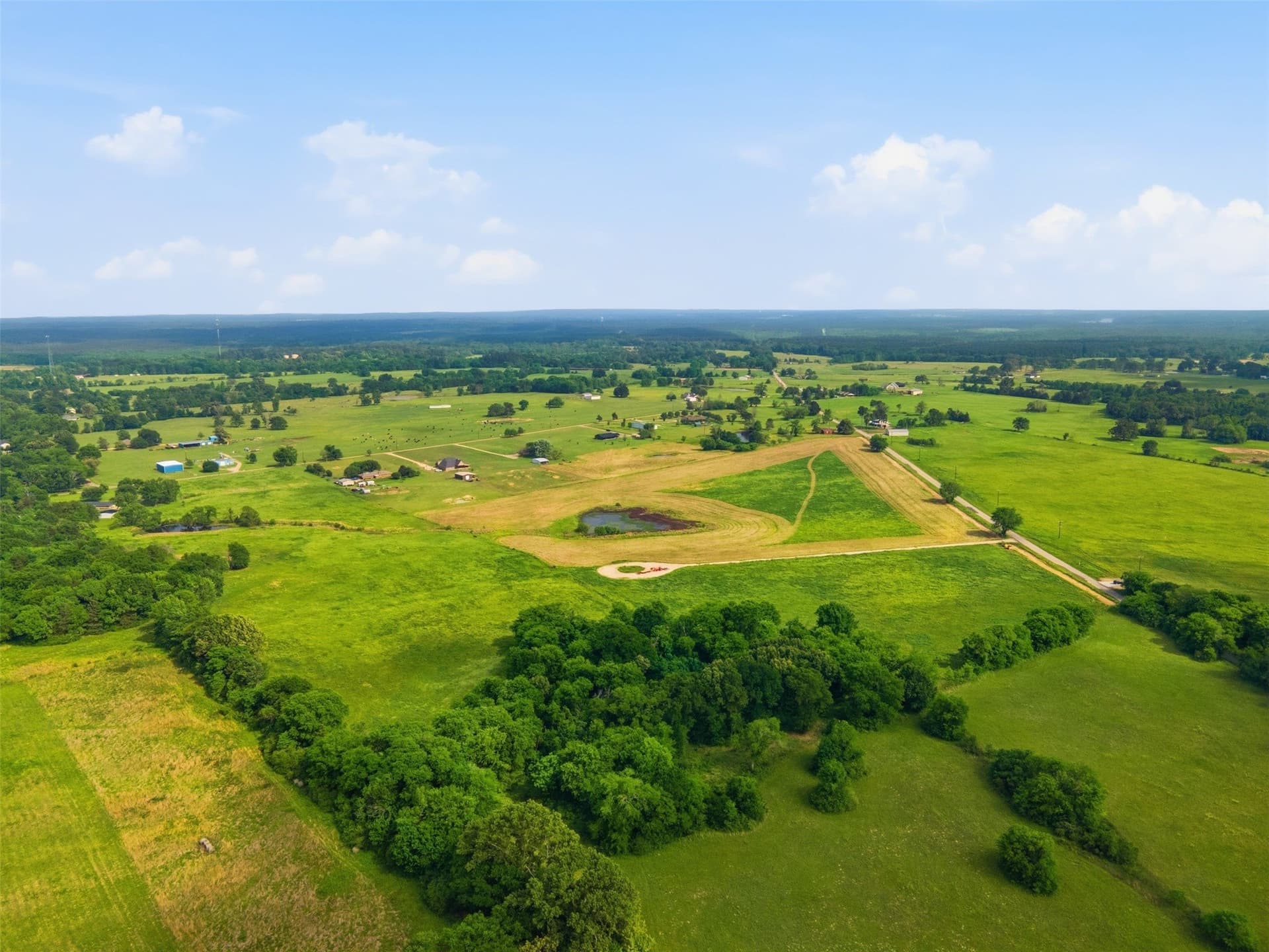 5 acres in Titus County - photo 10