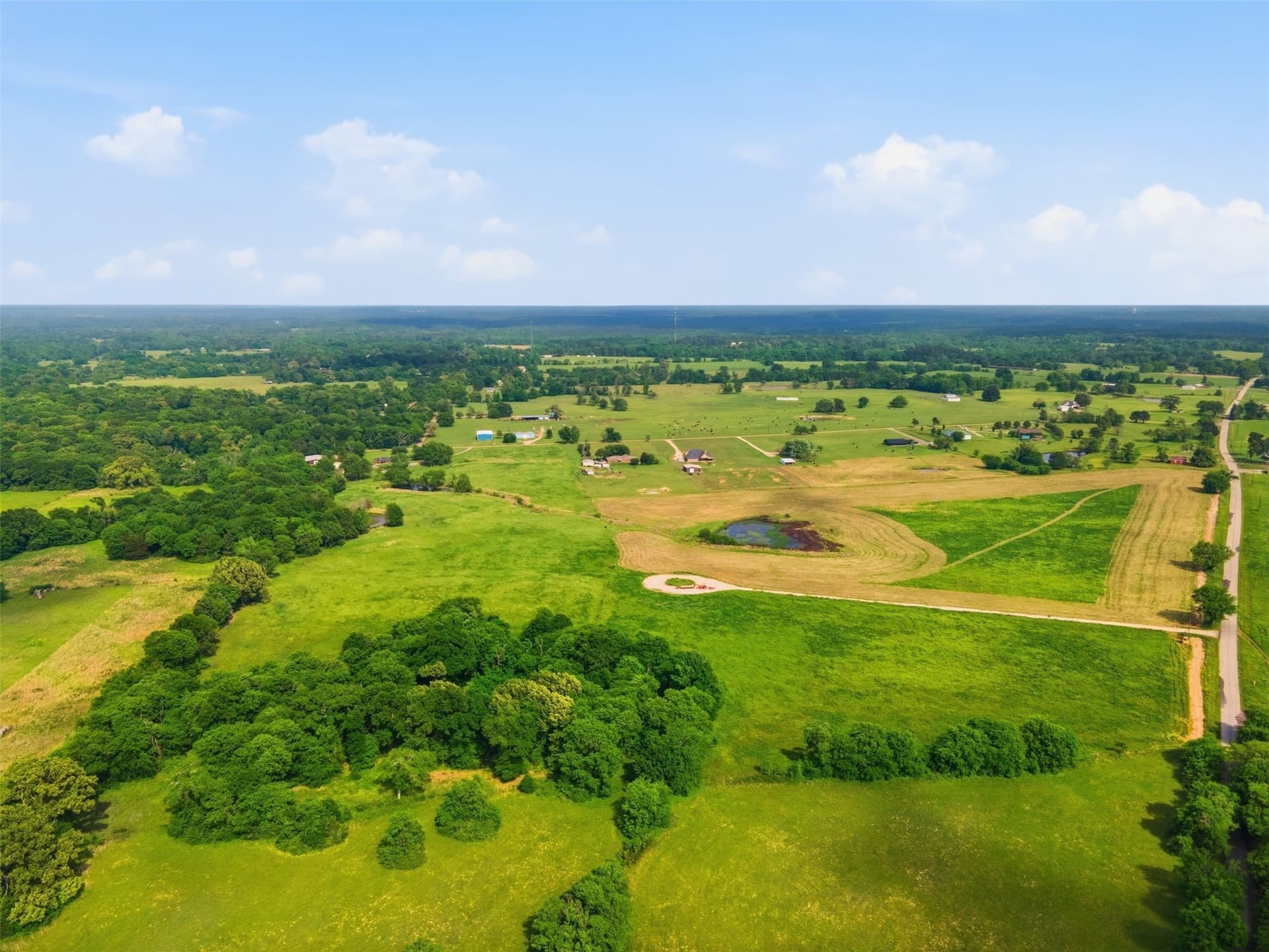 5 acres in Titus County - photo 9