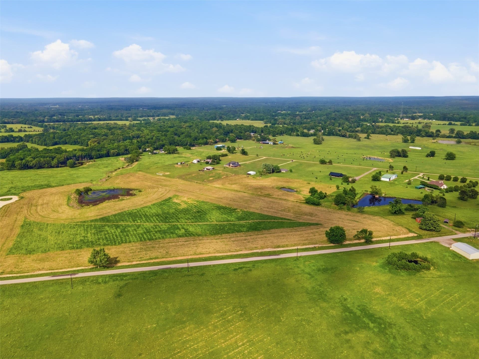 5 acres in Titus County - photo 6