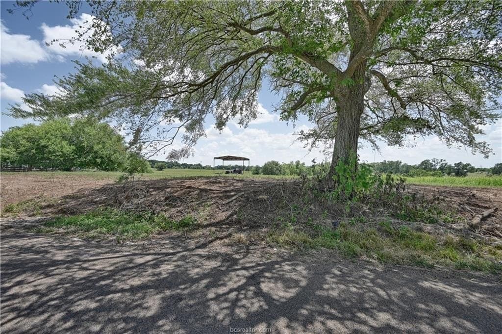 12 acres in Grimes County - photo 8