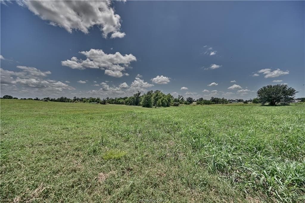 12 acres in Grimes County - photo 11