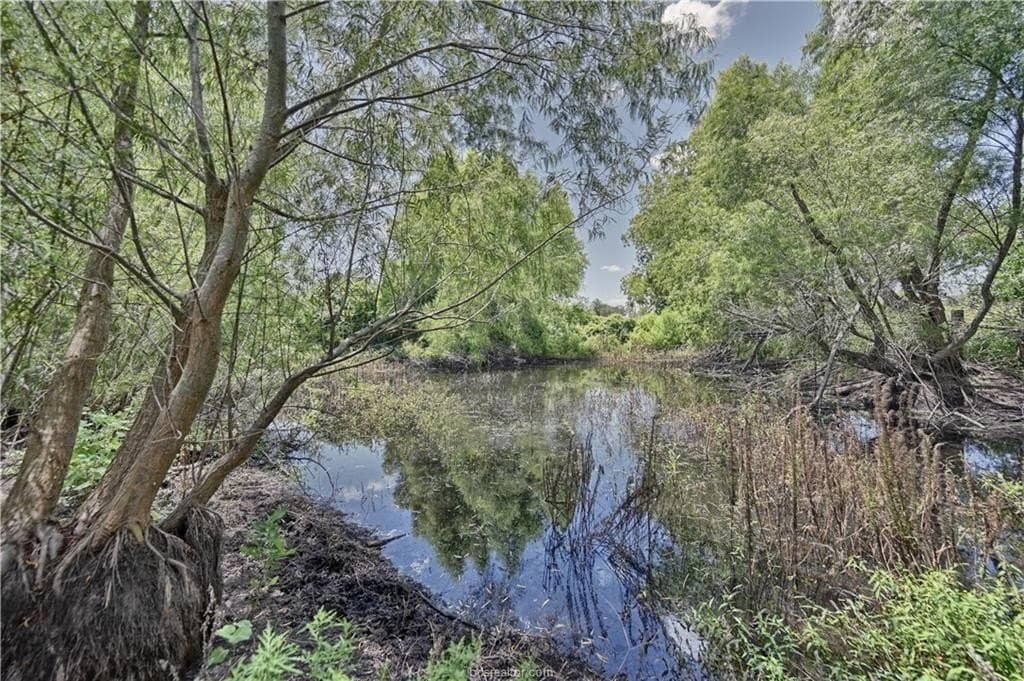 12 acres in Grimes County gallery image 3
