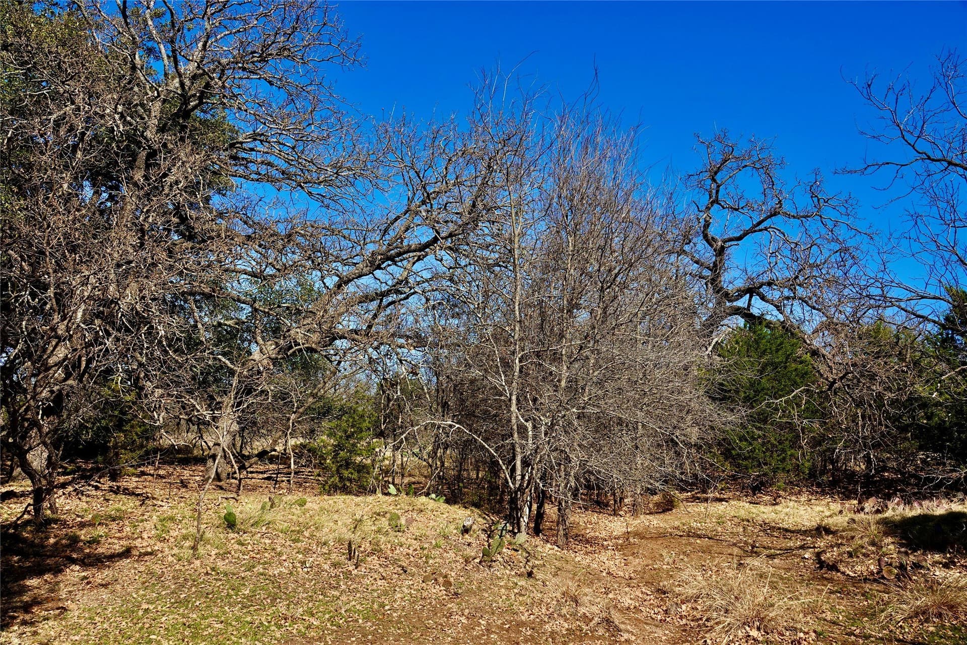15 acres in Mills County - photo 35