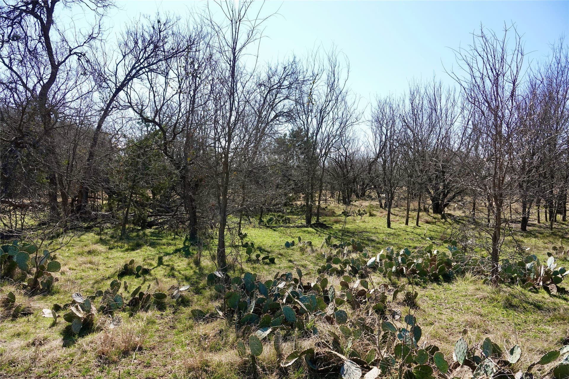 15 acres in Mills County - photo 31