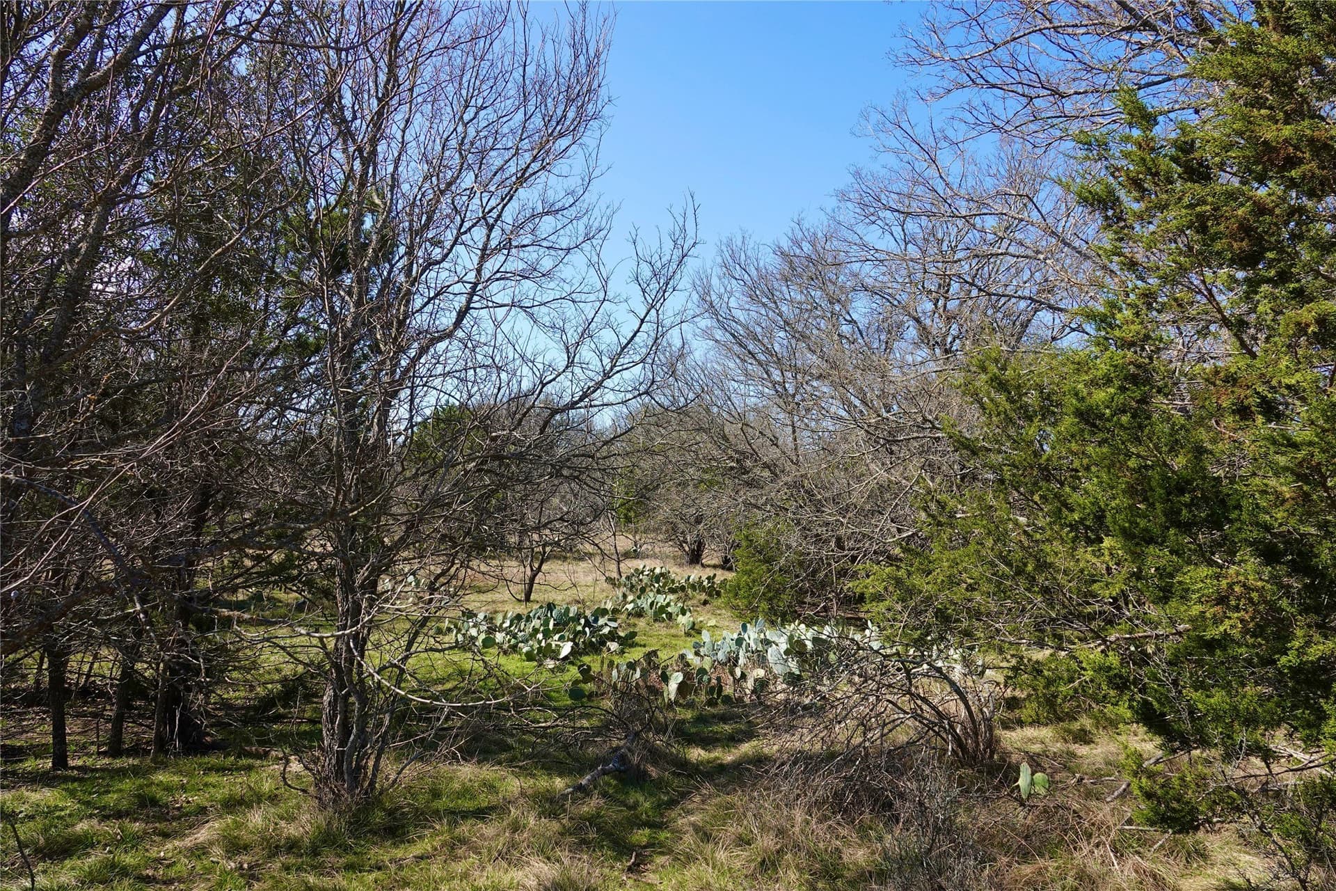 15 acres in Mills County - photo 30