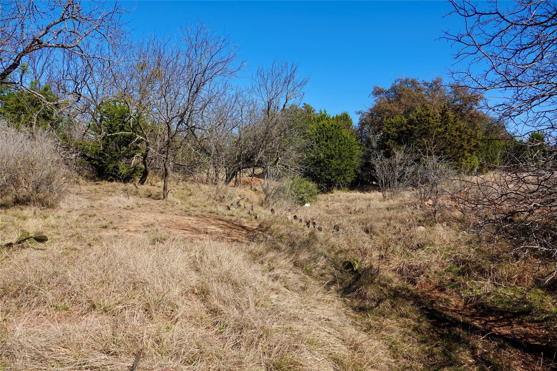 15 acres in Mills County - photo 33