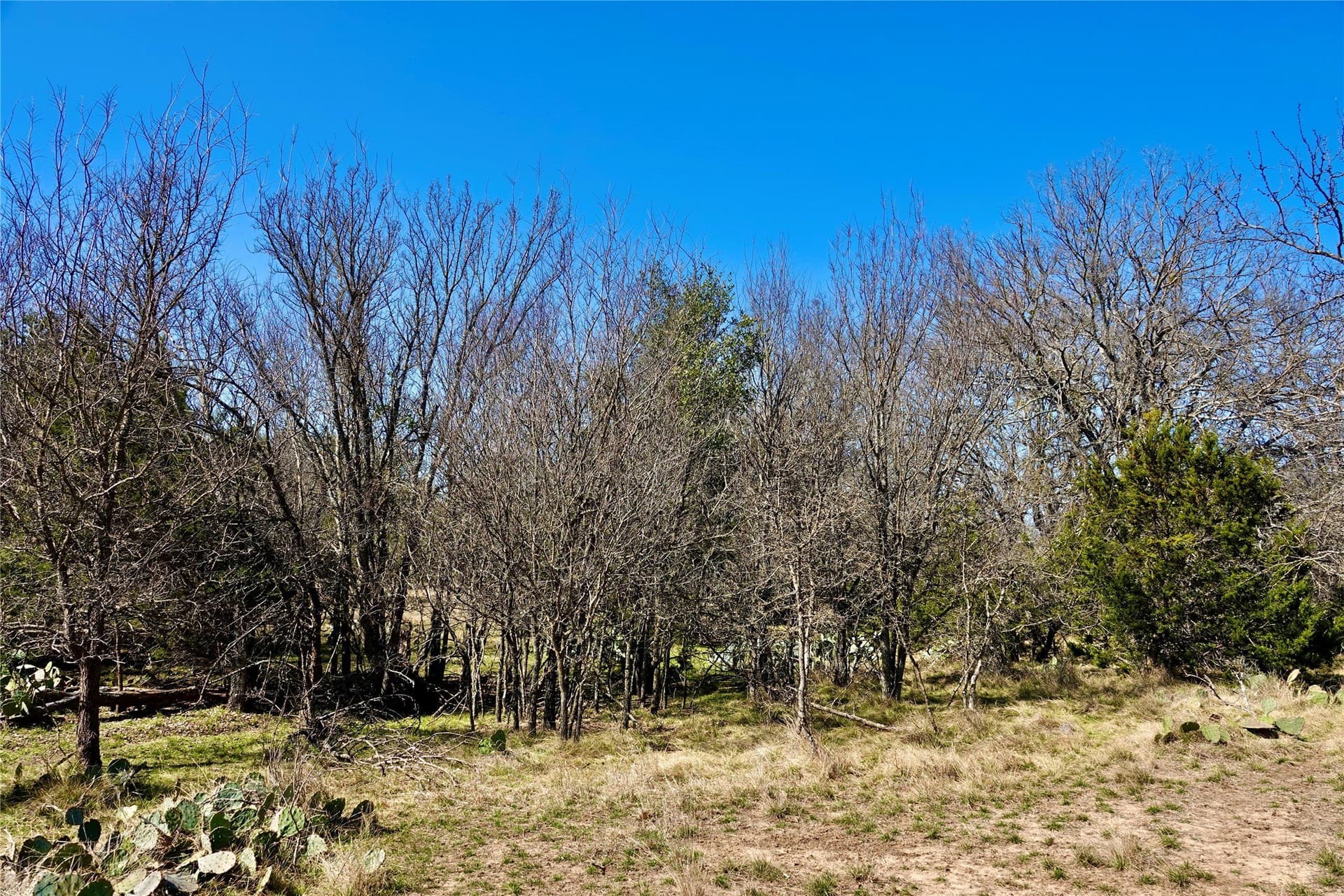 15 acres in Mills County - photo 36