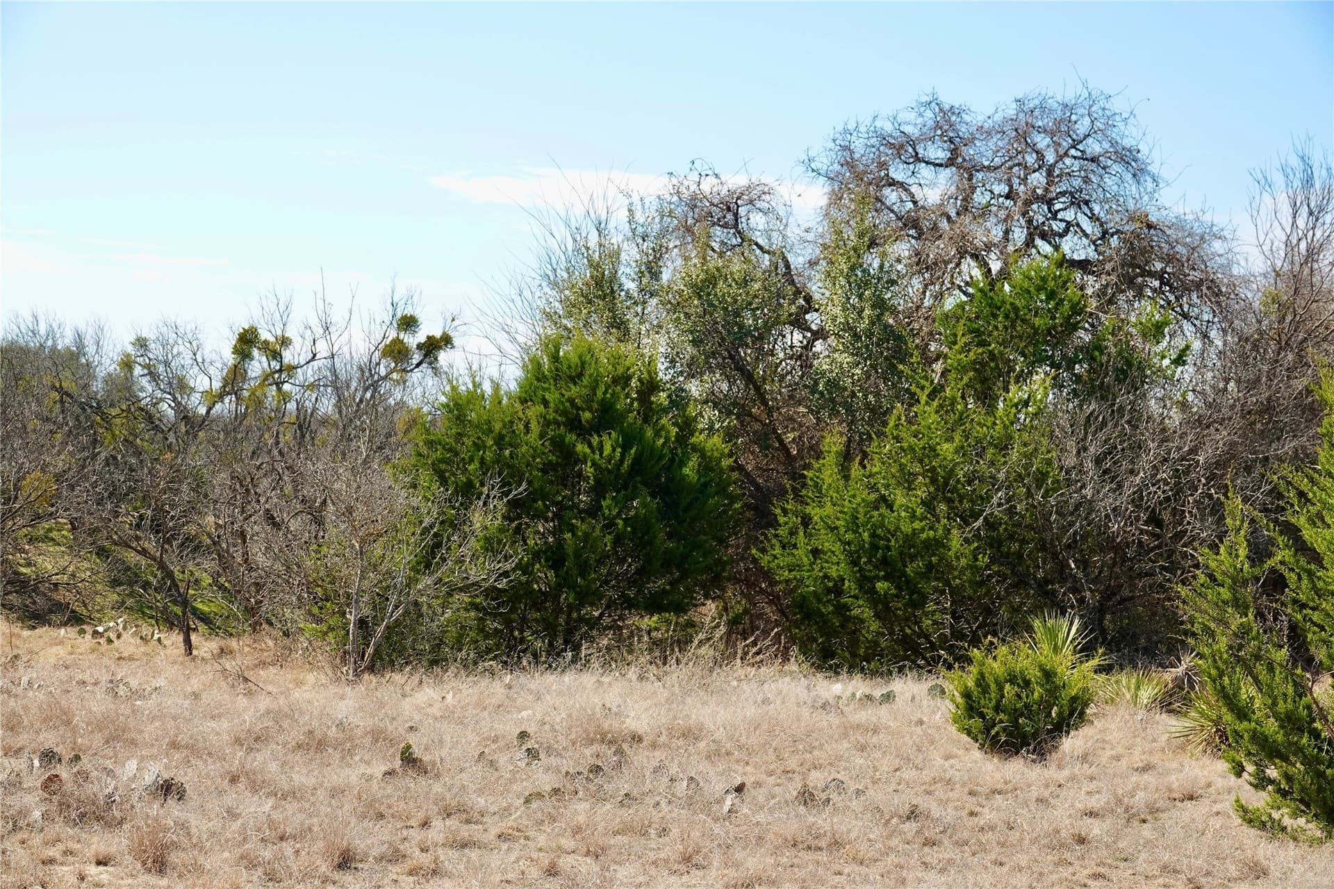 15 acres in Mills County - photo 40