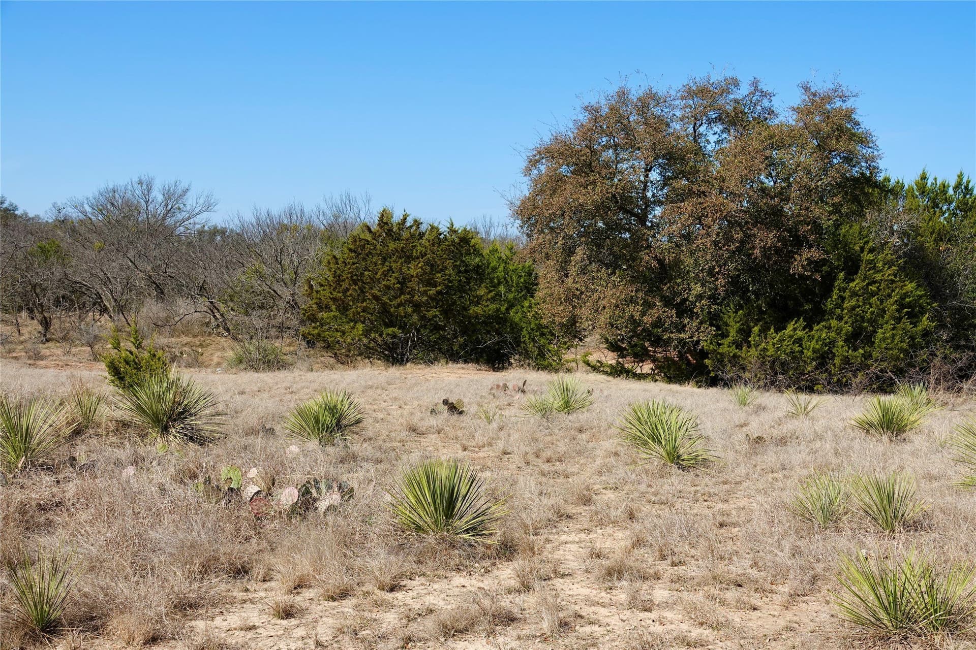 15 acres in Mills County - photo 39